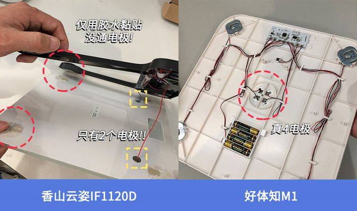 晓！体脂秤真是智商税？怎么选看这一篇就够了!CQ9传奇电子2023年6款体脂秤评测重磅揭(图13)